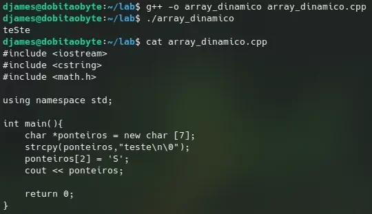array_dinamico_2.webp